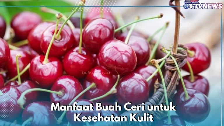 Memiliki Efek Antipenuaan, Ini Manfaat Konsumsi Buah Ceri bagi Kesehatan Kulit