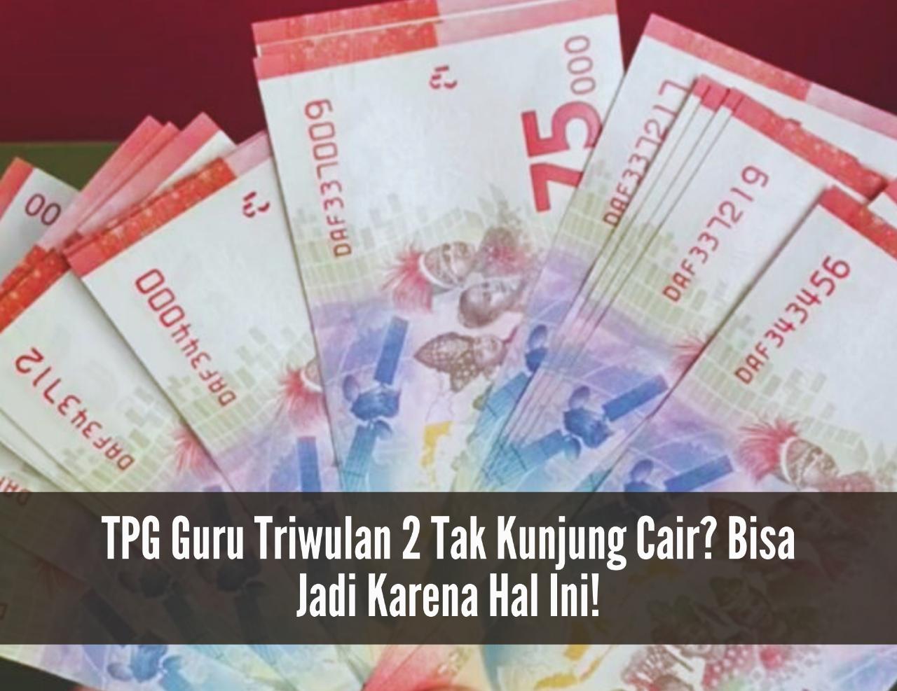 TPG Guru Triwulan 2 Tak Kunjung Cair? Bisa Jadi Karena Hal Ini!