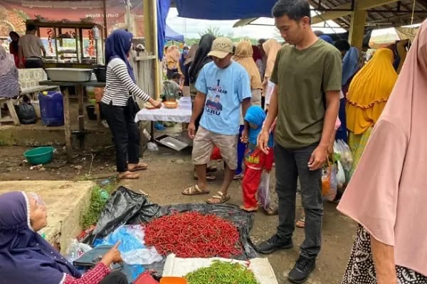 Harga Cabai Anjlok di Seluma, Ayam Potong Justru Melambung