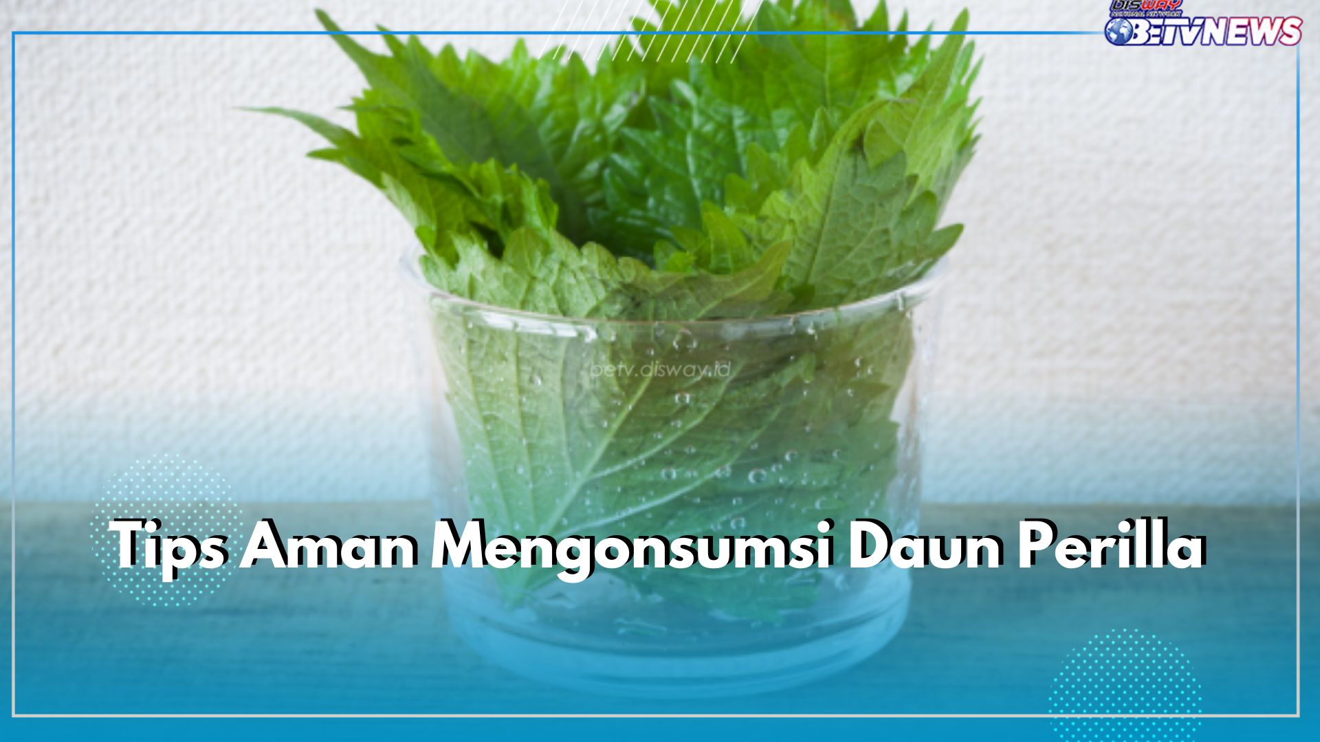 6 Tips Aman Mengosumsi Daun Perilla, Mulailah dengan Jumlah Kecil 