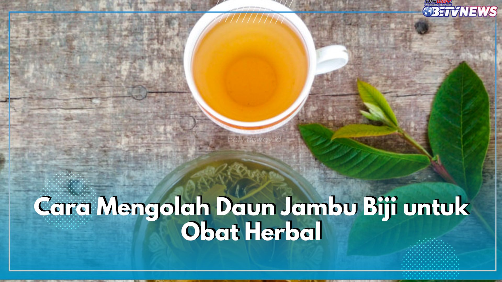 5 Cara Mudah Olah Daun Jambu untuk Obat Herbal, Bisa Dibuat di Rumah, Lho!