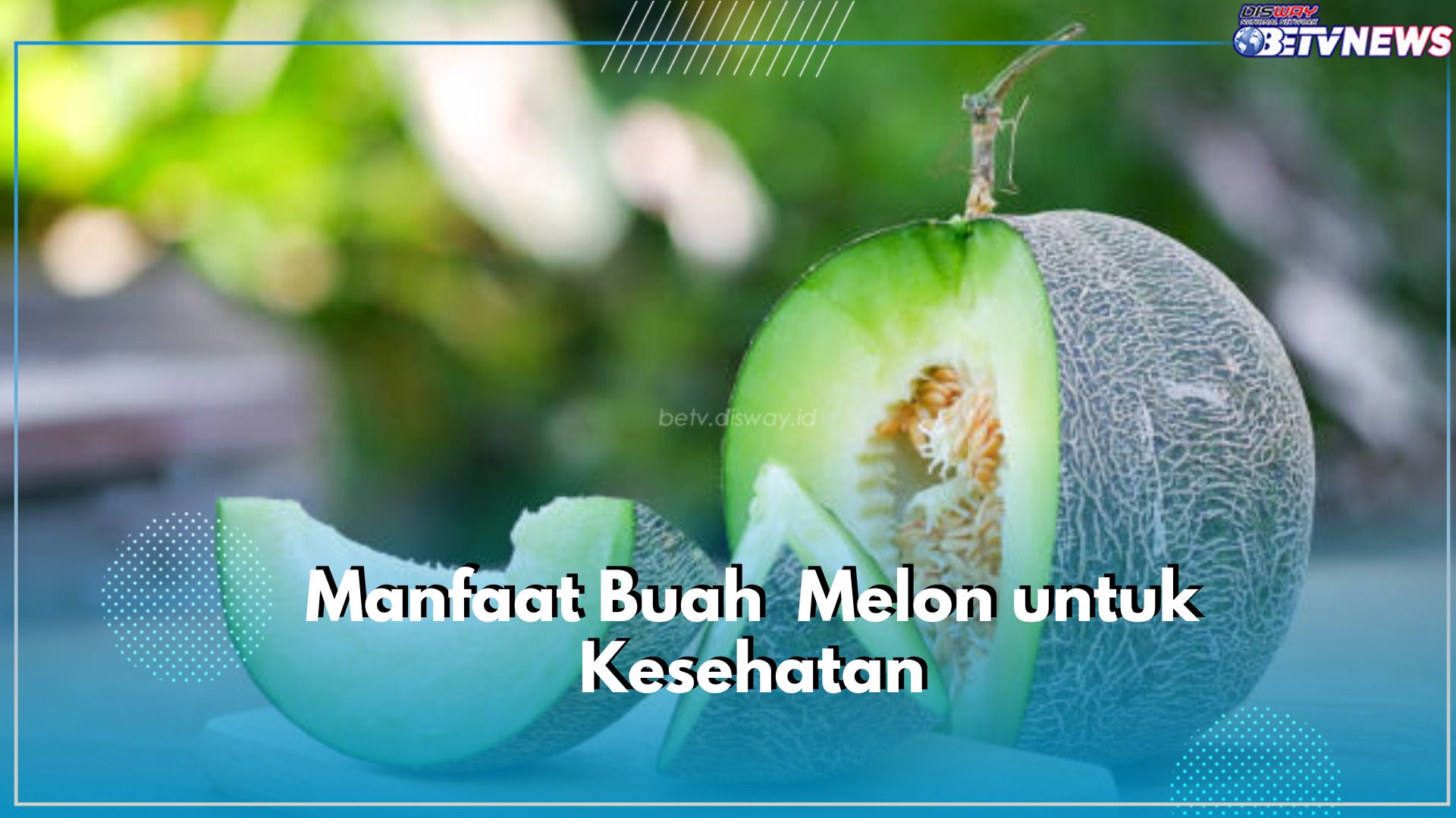 Kaya akan Nutrisi, Ketahui Manfaat dari Buah Melon untuk Kesehatan Tubuh, Ampuh Penuhi Gizi Ibu Hamil