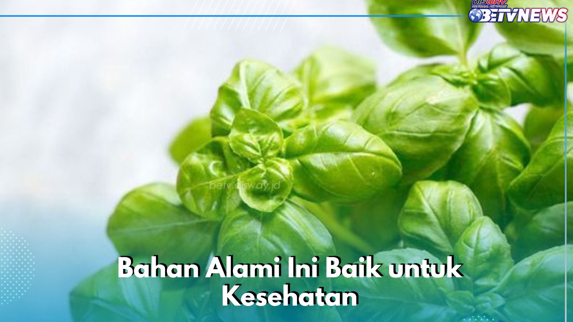 6 Bahan Alami Ini Baik untuk Kesehatan, Ampuh Menurunkan Kolesterol