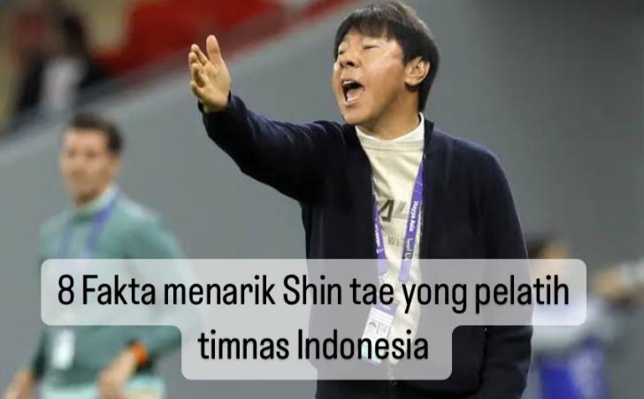  8 Fakta Pelatih Timnas Indonesia U-23 Shin Tae Yong, Salah Satunya Pemain Liga Korea Terbaik Sepanjang Masa