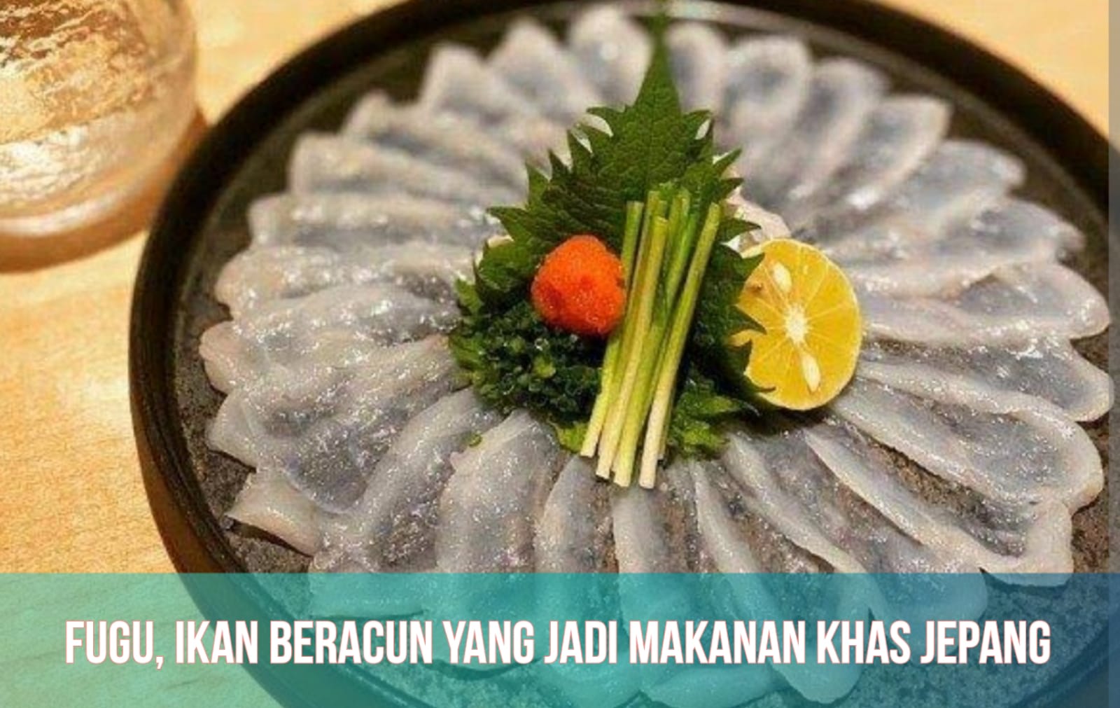 Inilah 4 Fakta Fugu, Ikan Beracun yang Jadi Makanan Khas Jepang