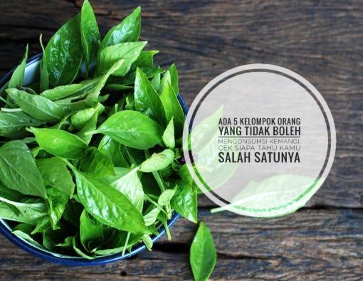 Ada 5 Kelompok Orang yang Tidak Boleh Mengonsumsi Kemangi, Cek Siapa Tahu Kamu Salah Satunya