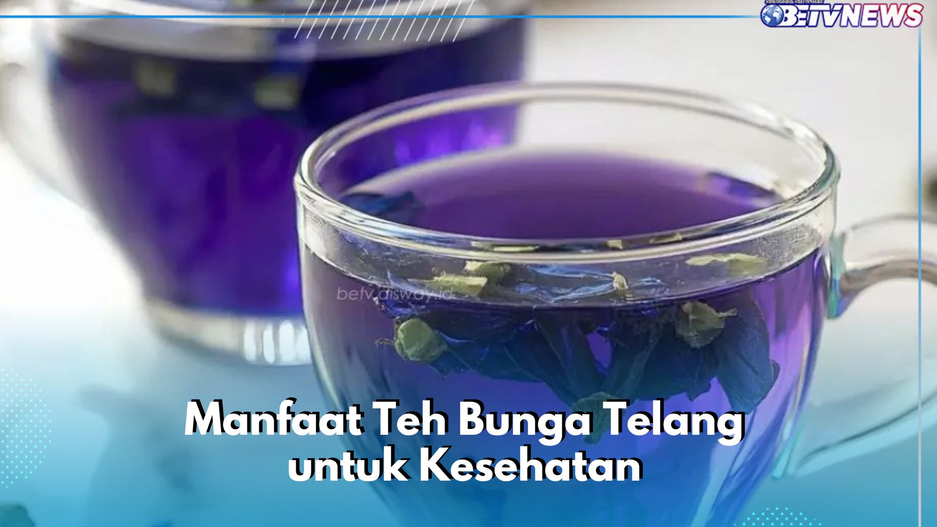 Teh Bunga Telang Baik untuk Mata, Cek Manfaat Tumbuhan Ini! Cukup Konsumsi Sehari-hari