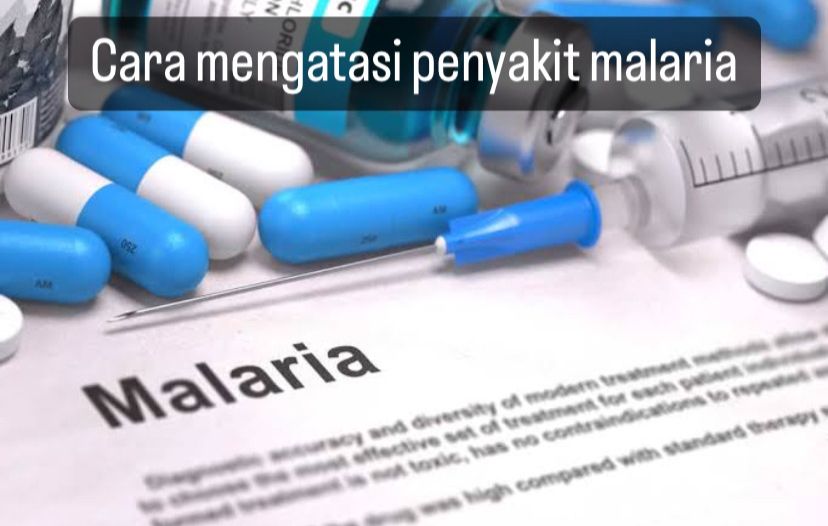 7 Cara Mengatasi Penyakit Malaria, Salah Satunya Melakukan Vaksin, Ini 6 Lainnya