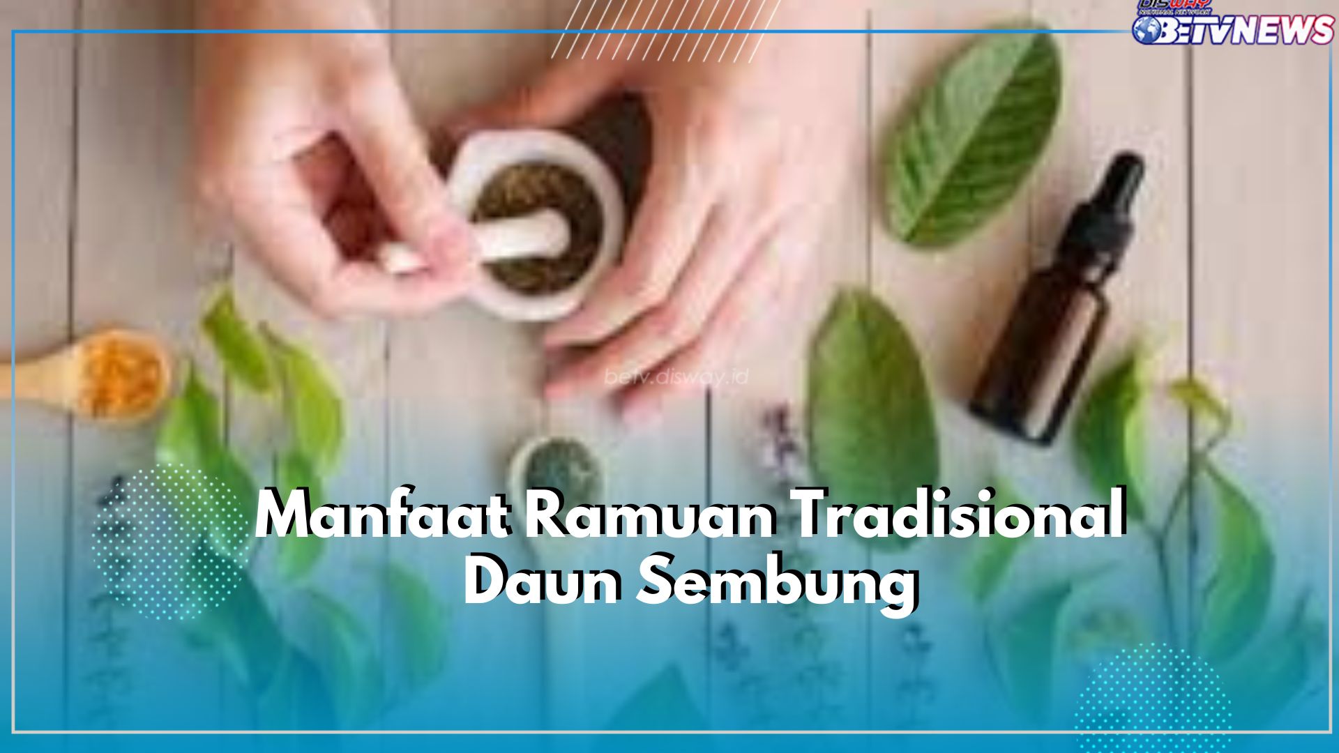Gangguan Pernapasan hingga Stres dapat Diatasi dengan Ramuan Tradisional Daun Sembung, Cek Selengkapnya Disini