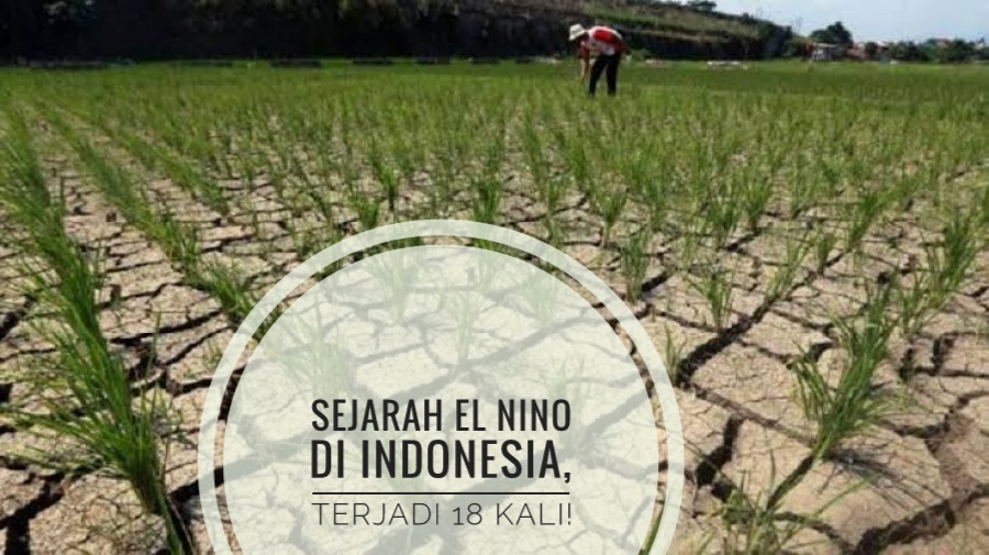 SEJARAH El Nino di Indonesia, 18 Kali Terjadi, Ini Tahun Terparah
