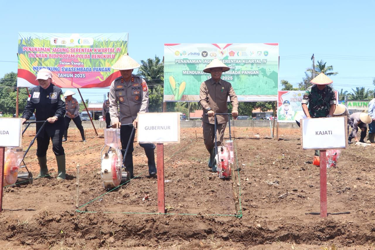 Perkuat Ketahanan dan Kemandirian Pangan Nasional, Polda Bengkulu Tanam Jagung Seluas 1,5 Hektare