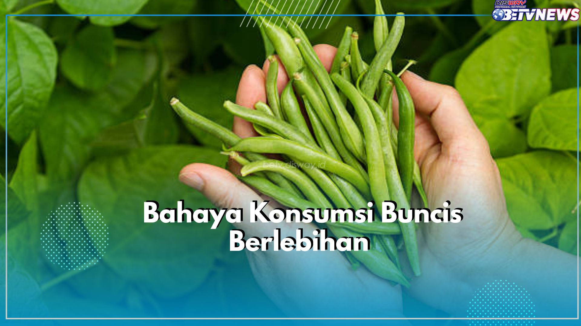 Waspadai! Konsumsi Buncis Secara Berlebihan dapat Memicu Timbul Efek Samping Berbahaya, Cek Disini!