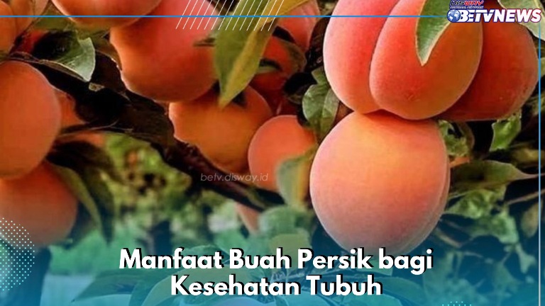 8 Manfaat Konsumsi Buah Persik, Dipercaya Ampuh Menjaga Kadar Gula Darah