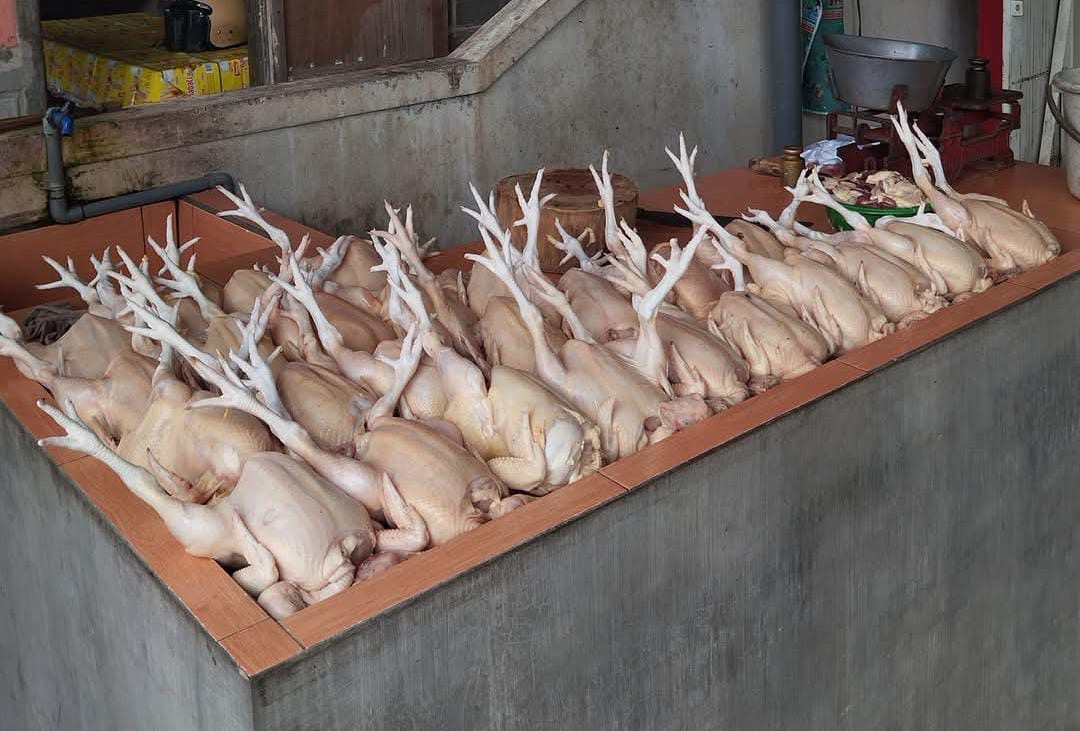 Harga Ayam Potong di Seluma Turun Drastis, Jadi Rp22.000 per Kilogram