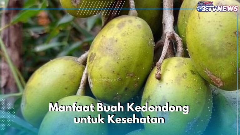 Buah Kedondong Ini Ampuh Melancarkan Pencernaan, Cek Manfaat Lengkapnya di Sini