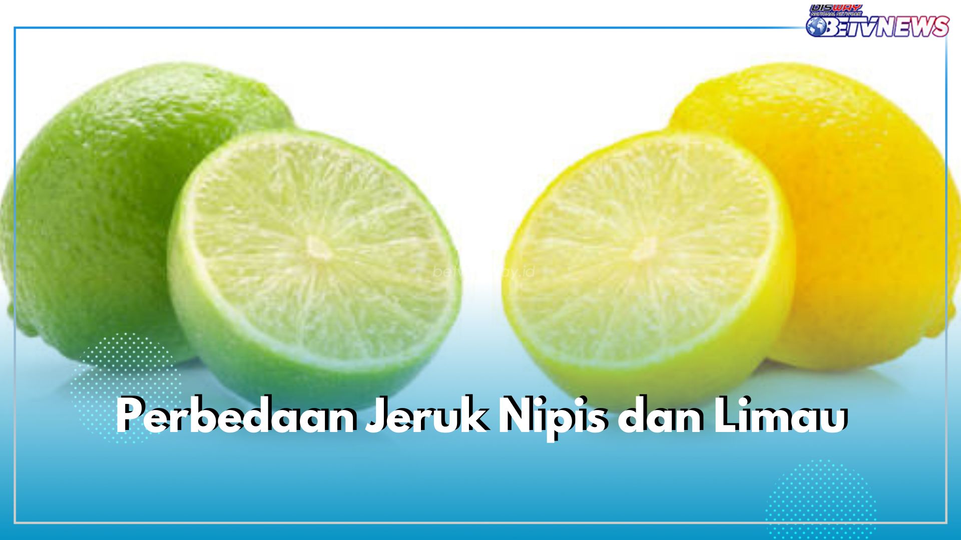 Serupa Tapi Tak Sama, Ini 5 Perbedaan Jeruk Nipis Dan Limau