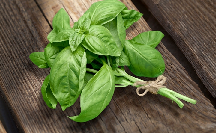 Adakah Manfaat Daun Basil untuk Kesehatan Ibu Hamil? Cek Jawabannya Disini!