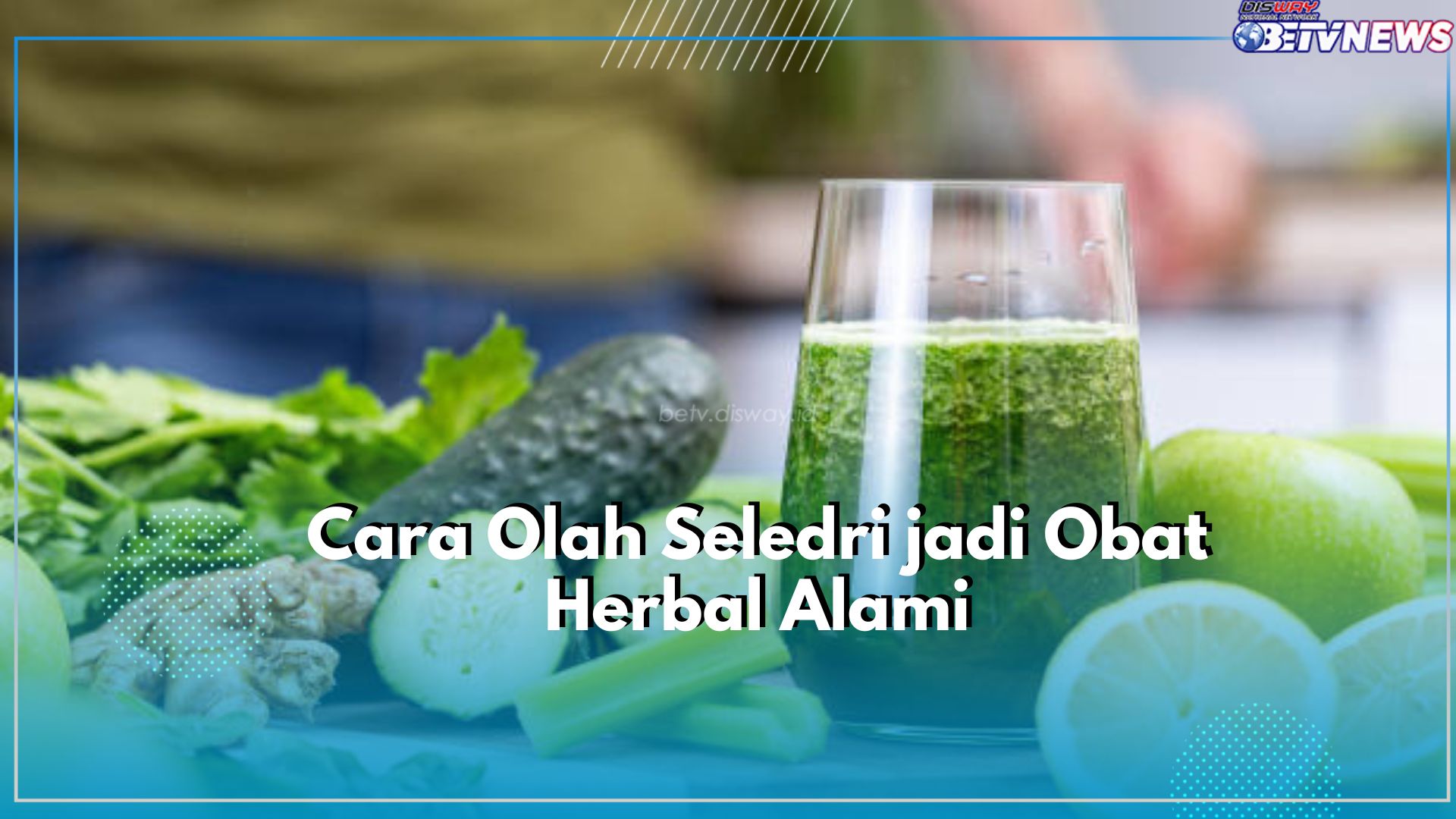 Gampang Banget! Simak Disini Cara Olah Seledri jadi Obat Herbal Alami, Ada Jus hingga Teh Seledri