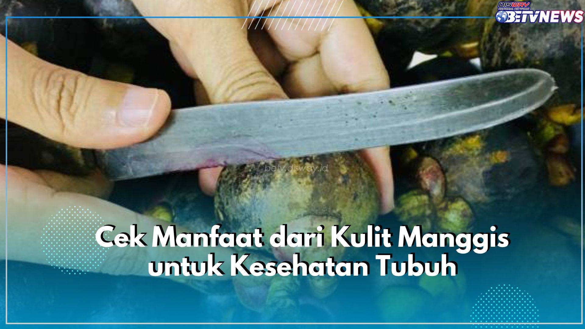 Sering Terabaikan, Yuk Jaga Kesehatan Tubuh dengan Kulit Manggis, Klaim Manfaatnya Disini!