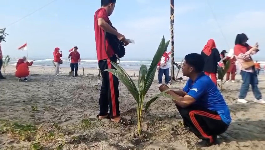 Program Bantuan Batang Kelapa di Bengkulu Mulai Berproses, Enggano Jadi Prioritas 2026