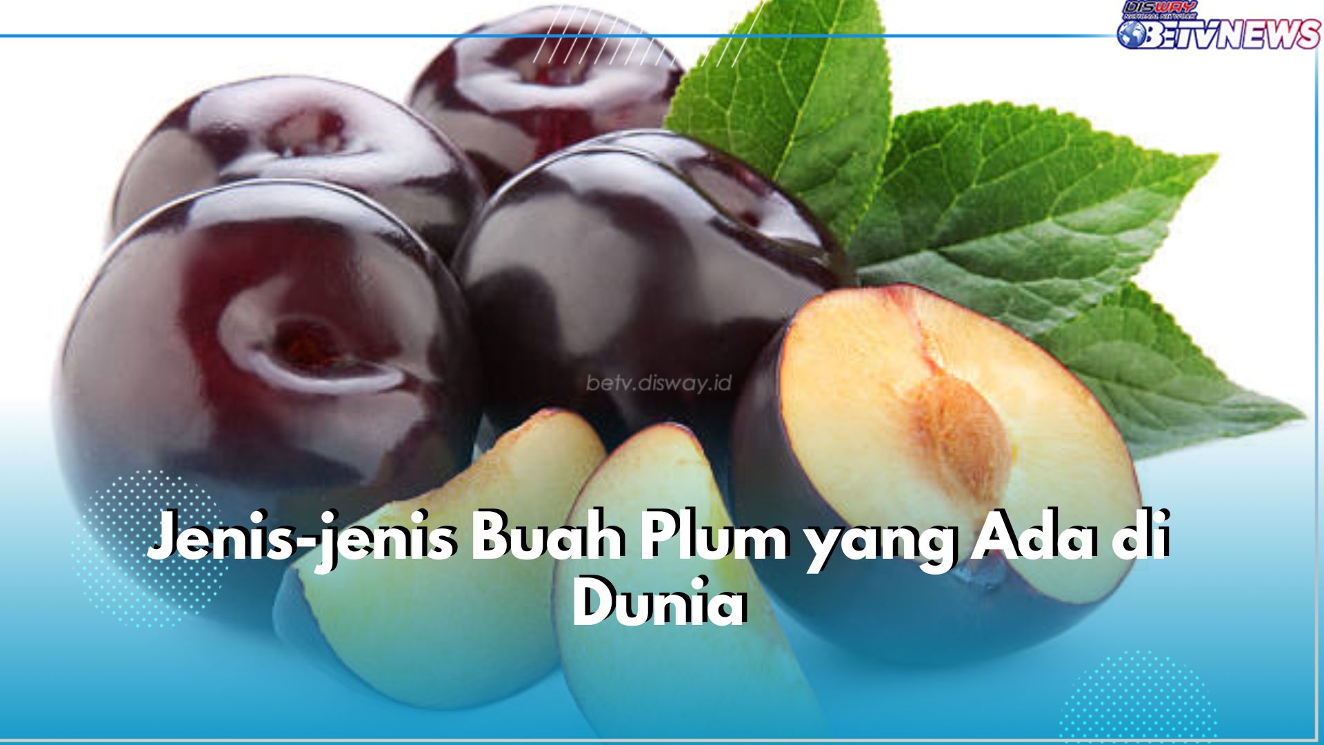 Wajib Tahu! Ini Jenis-Jenis Buah Plum yang Ada di Dunia, Salah Satunya Japanese Plum 