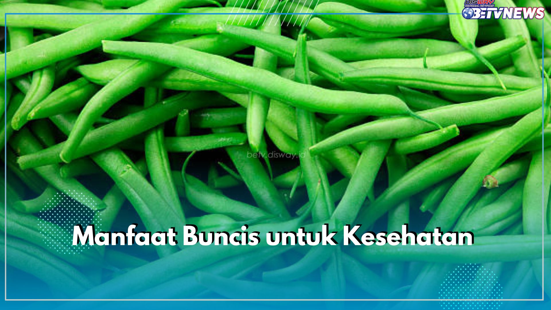 Harga Murah Namun Punya Segudang Manfaat, Ini Kelebihan dari Mengonsumsi Buncis untuk Kesehatan