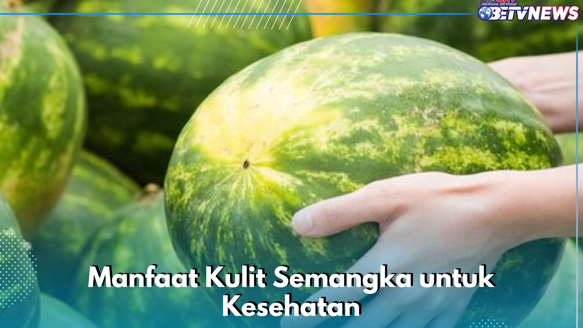 Tidak Hanya Buahnya, Ini 7 Manfaat Kulit Semangka yang Jarang Diketahui