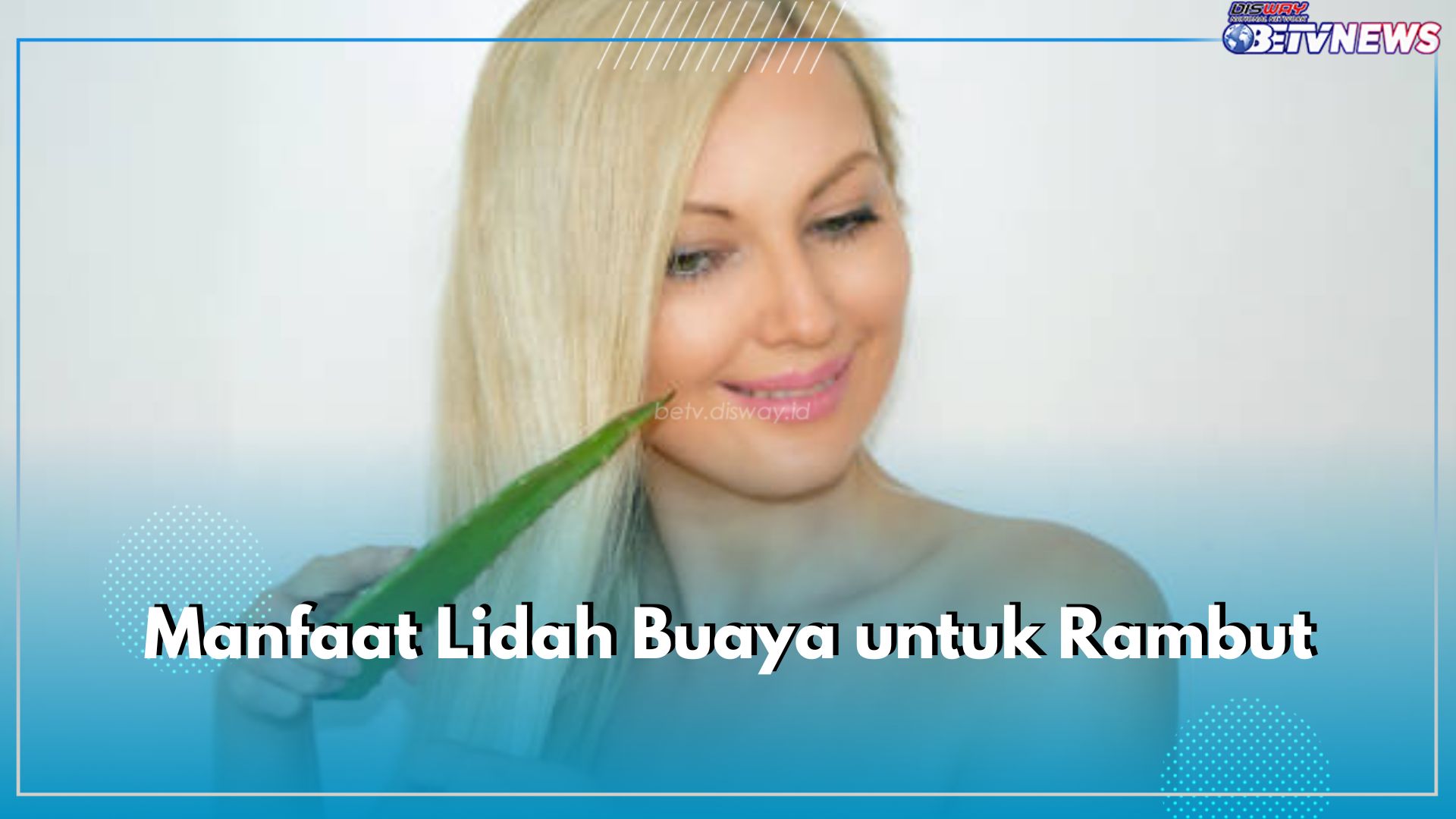 Dapatkan Ragam Khasiatnya Untuk Rambut, Ini 7 Manfaat Menggunakan Lidah Buaya Sebagai Shampo Alami