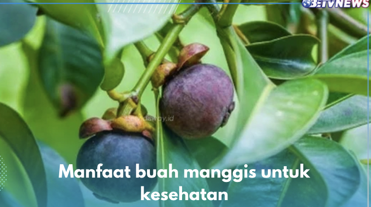 Buah Ajaib Pencegah Kanker, Ini 9 Manfaat Lain Manggis untuk Kesehatan