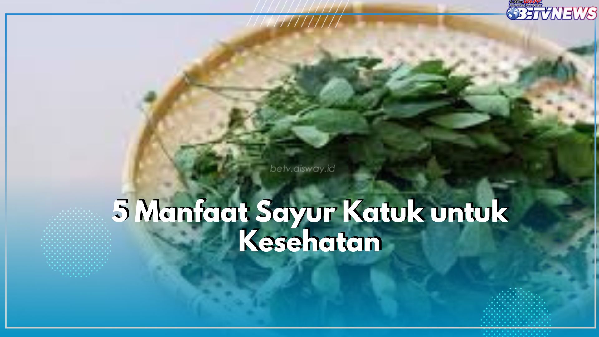 Busui Wajib Tahu Ini, Klaim 5 Manfaat Sayur Katuk untuk Kesehatan, Bisa Tingkatkan Produksi ASI Lebih Cepat