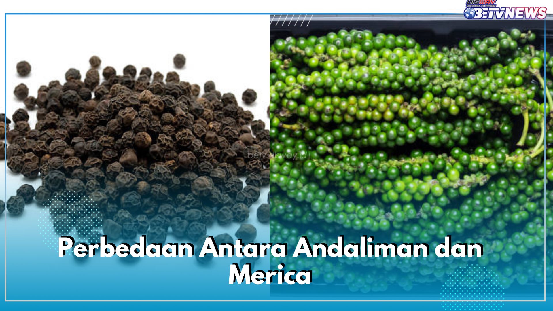 Sama-sama Berbiji Kecil, Ada Perbedaan Antara Andaliman dan Merica, Cari Tahu di Sini