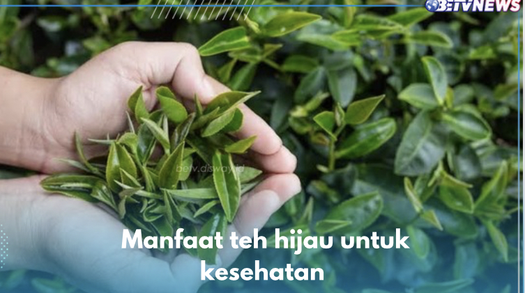 Cakap Tingkatkan Fungsi Otak, Ini 5 Manfaat Teh Hijau untuk Kesehatan