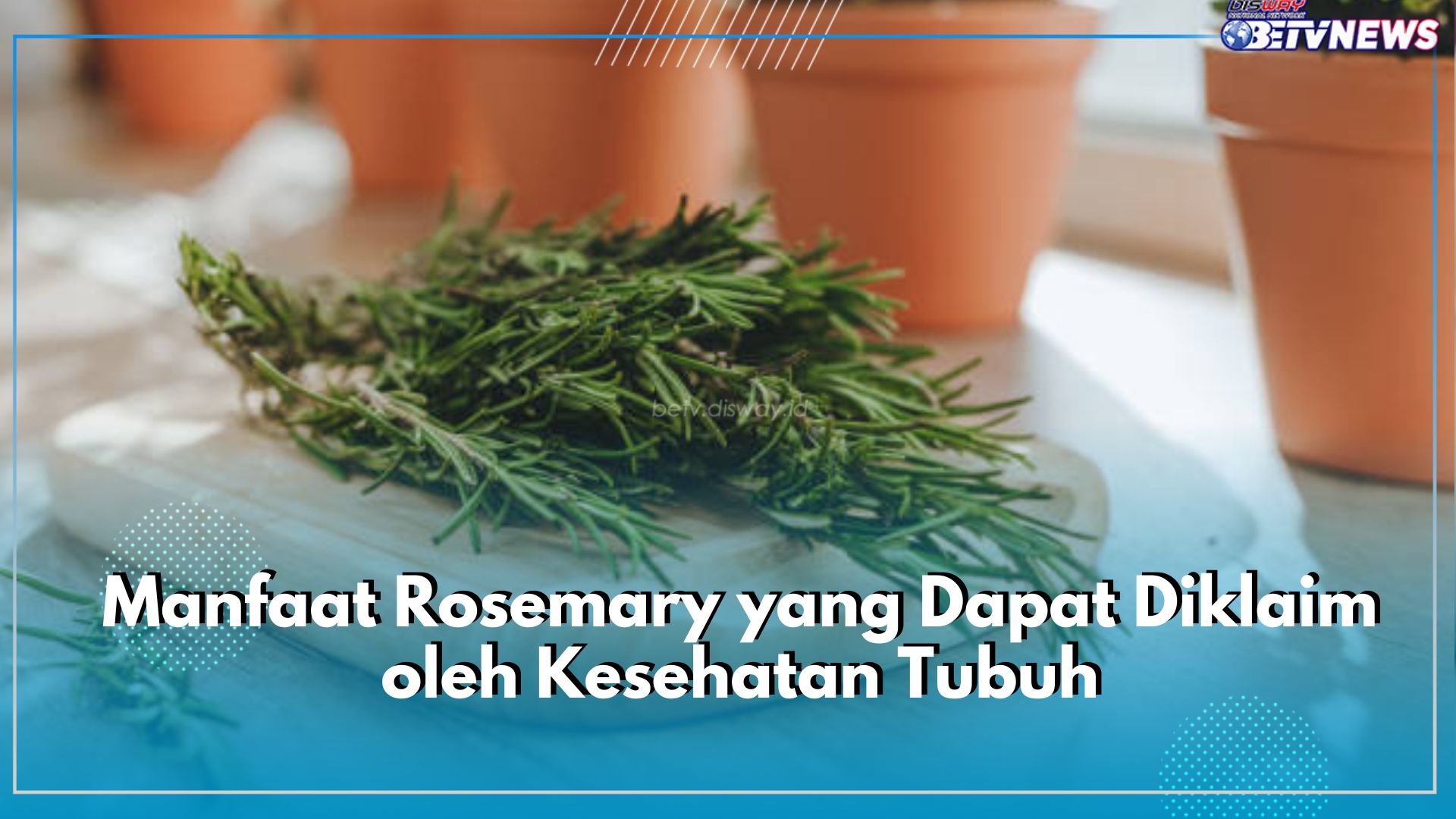 Bumbu Masak Kaya Manfaat, Intip 8 Manfaat Rosemary yang Dapat Diklaim oleh Kesehatan Tubuh