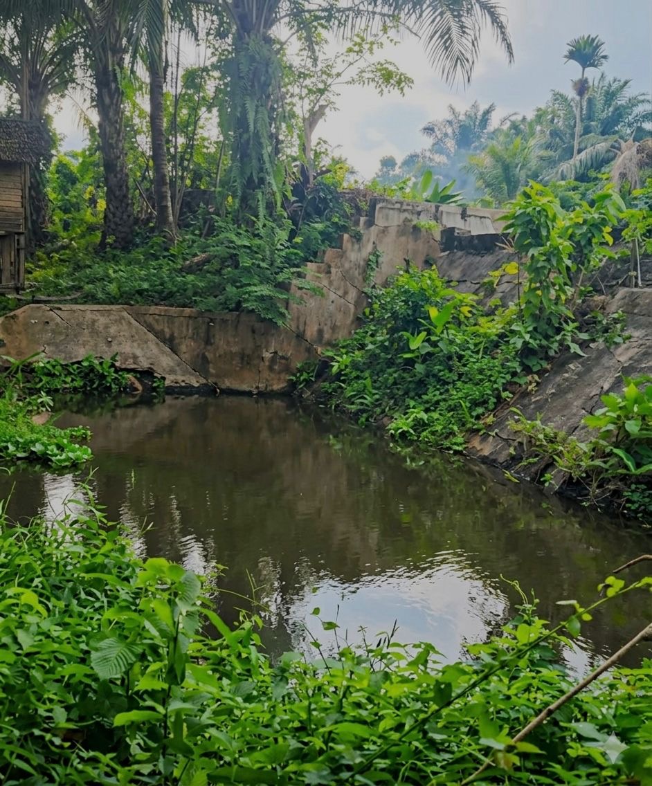 Petani Keluhkan Air Macet, Pemkab Bengkulu Selatan Lobi Pusat Benahi Tebat Baghu