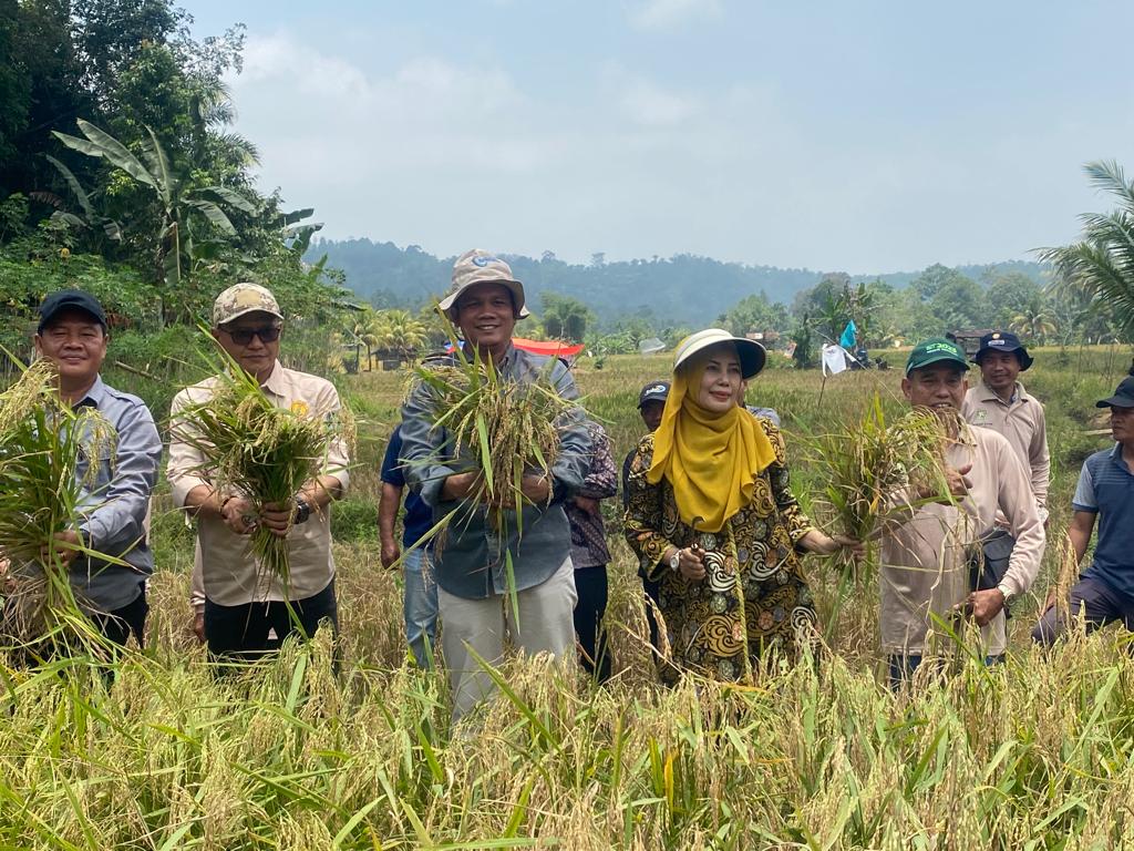 Jonaidi SP, MM: Pemerintah Harus Hadir dan Konsisten dengan Progres Pertanian di Provinsi Bengkulu