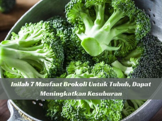 Brokoli Dapat Meningkatkan Kesuburan Rahim, Cek di Sini Manfaat Lainnya untuk Kesehatan
