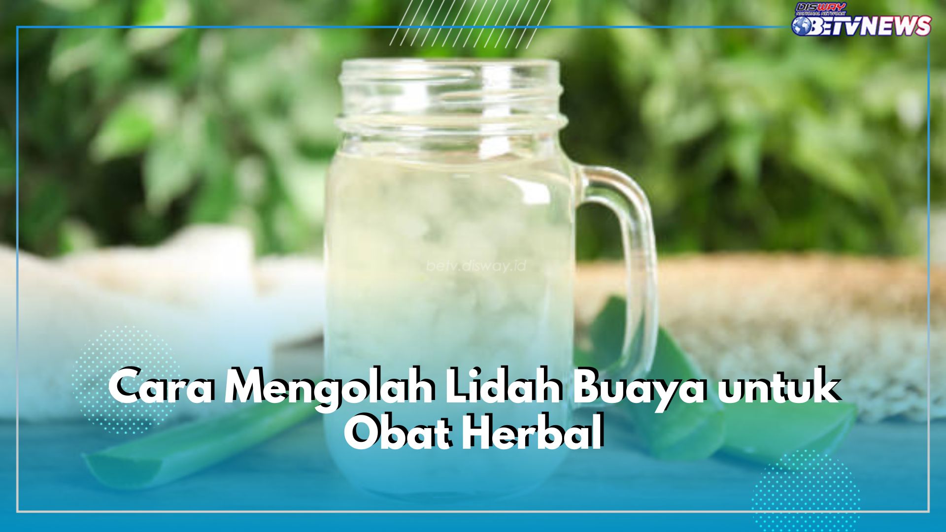 Mudah Banget! Ini 3 Cara Olah Lidah Buaya untuk Obat Herbal