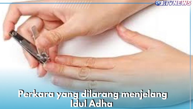 Tidak Boleh Memotong Kuku Menjelang Idul Adha, Cek 8 Perkara Lain yang Dilarang di Bulan Dzulhijjah