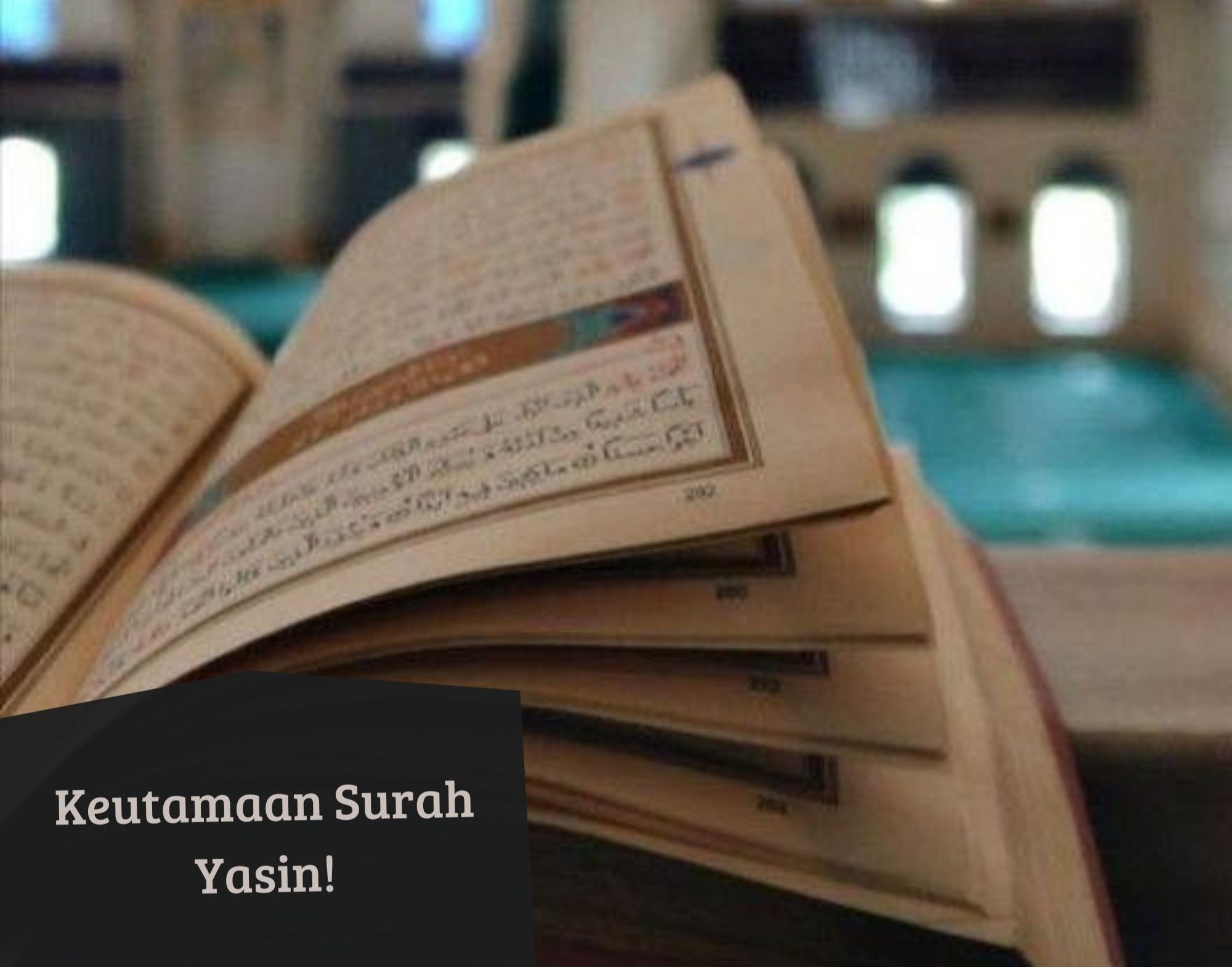 Kamu Perlu Tahu! Ini 6 Keutamaan Surah Yasin, Disebut Sebagai Jantungnya Al Quran