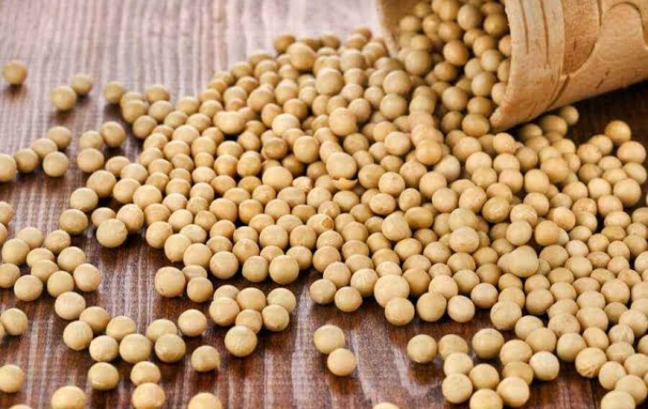 Wow, Kacang Kedelai Tawarkan 7 Manfaat Istimewa untuk Ibu Hamil, Cek!