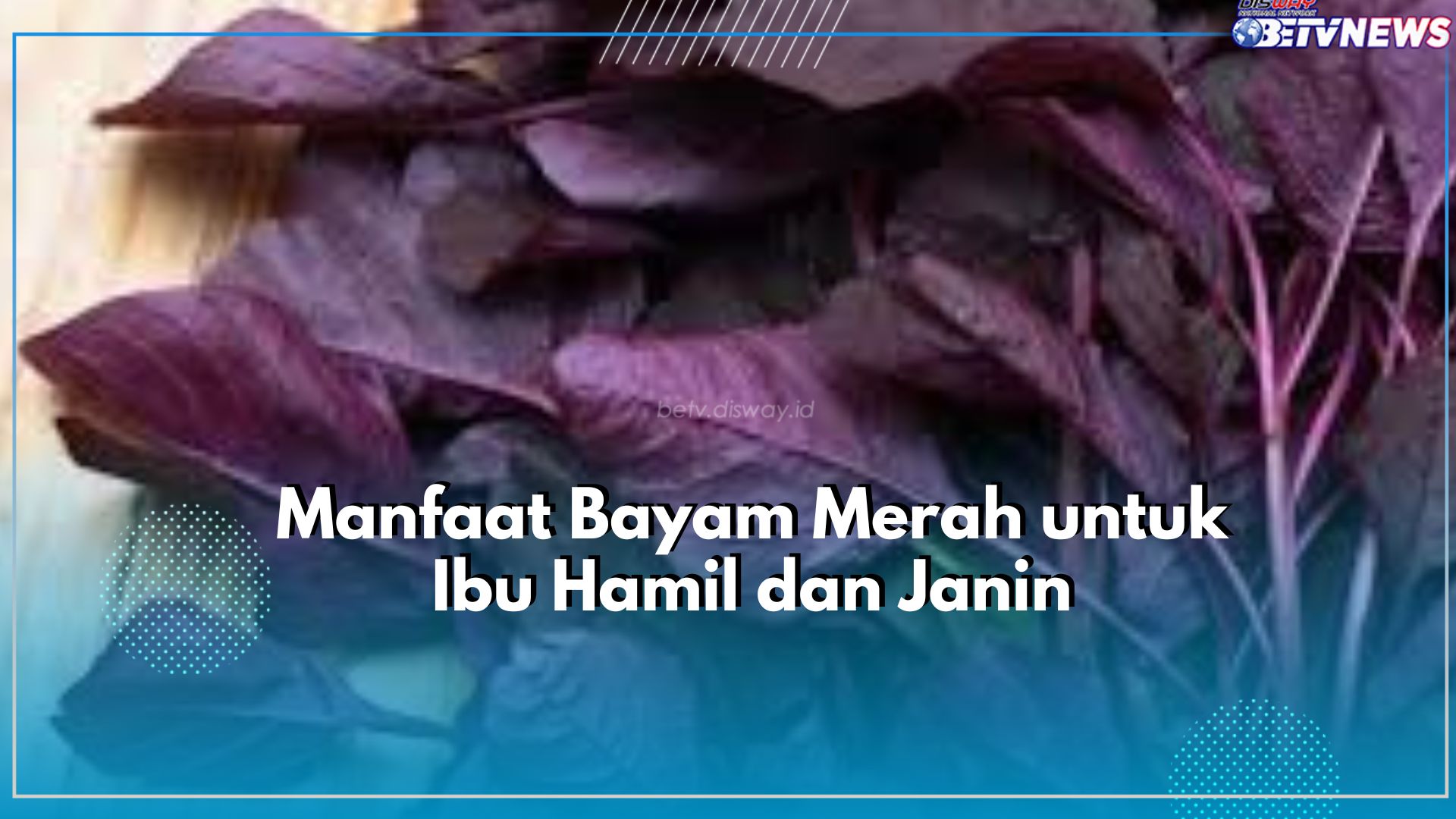4 Manfaat Utama Bayam Merah untuk Kesehatan Ibu Hamil dan Janin, Jangan Lupa Cek Juga Kandungan Nutrisinya!