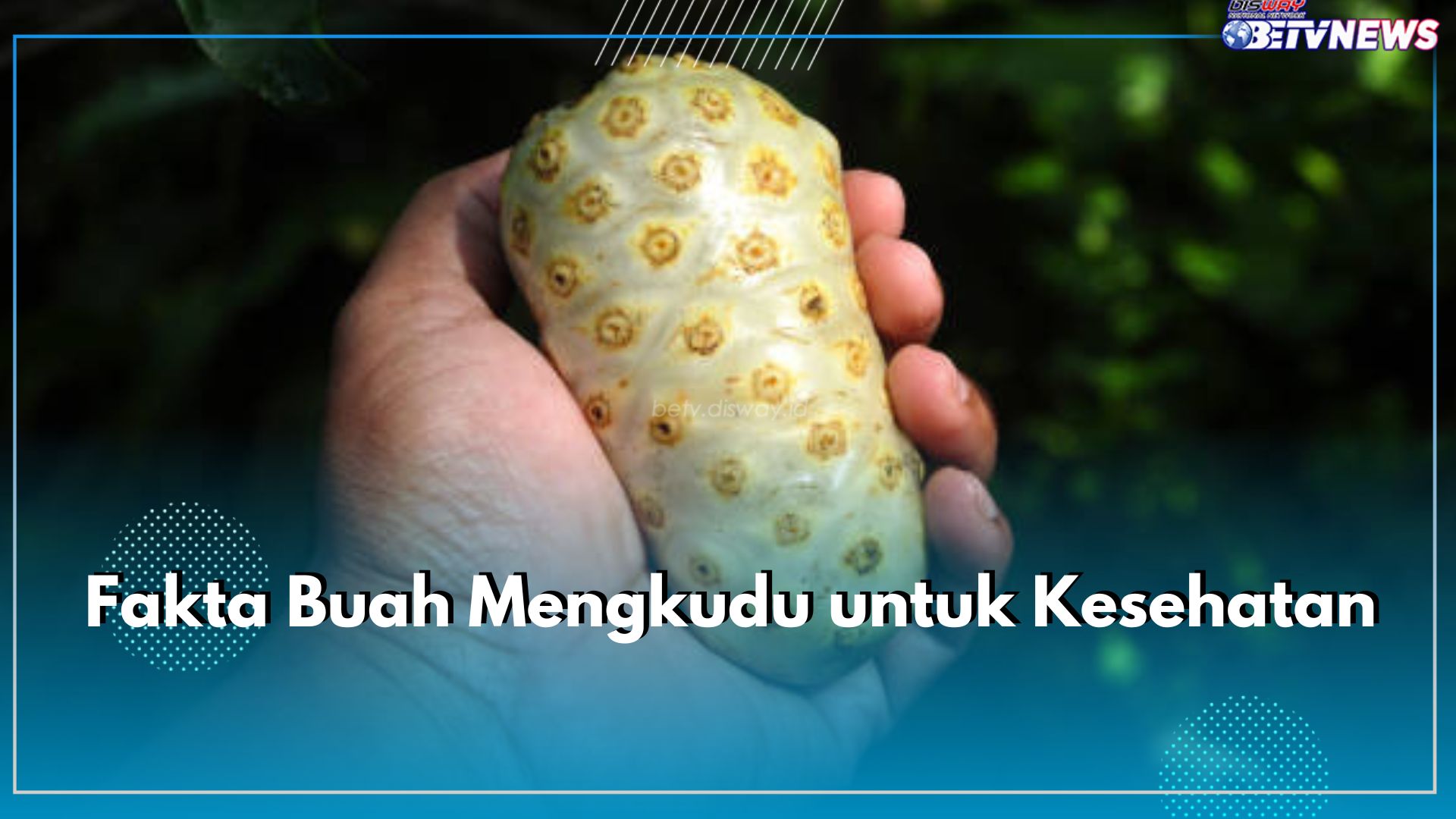 Buah Mengkudu Ampuh Mengontrol Gula Darah, Cek Faktanya di Sini