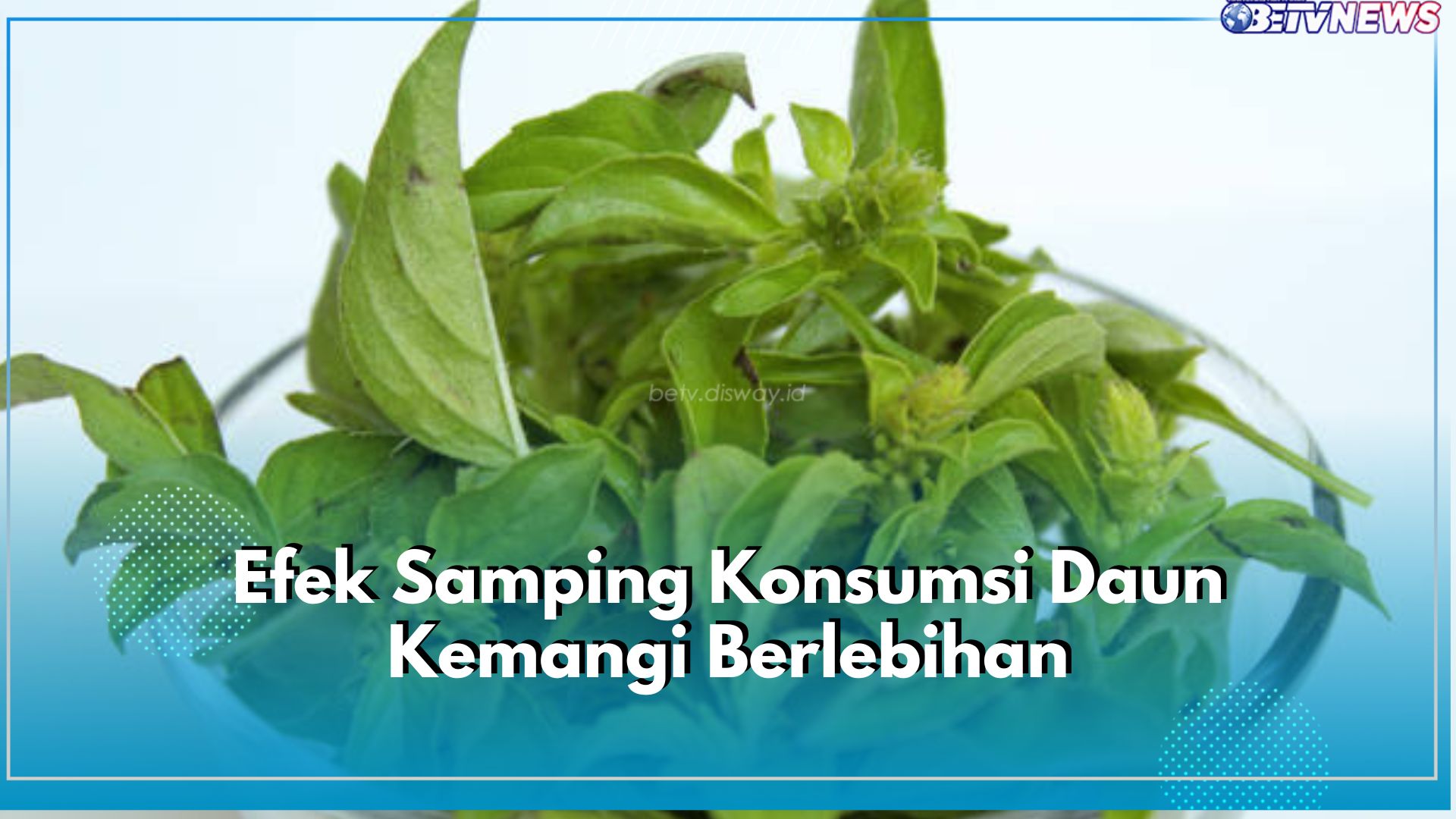 Hindari 5 Efek Samping Konsumsi Daun Kemangi Berlebihan Ini, Bisa Sebabkan Diare dan Ragam Masalah Lain