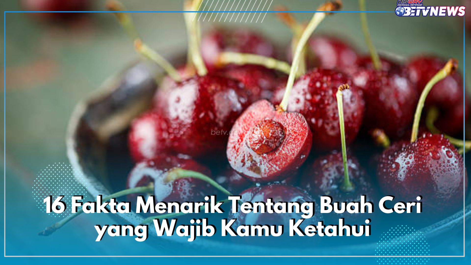 Penuh Pesona, Ini 16 Fakta Menarik Tentang Buah Ceri yang Wajib Kamu Ketahui