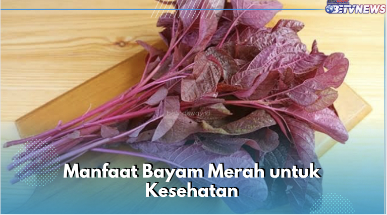 5 Manfaat Bayam Merah untuk Kesehatan, Nomor 5 Belum Banyak yang Tahu, Cek Sekarang