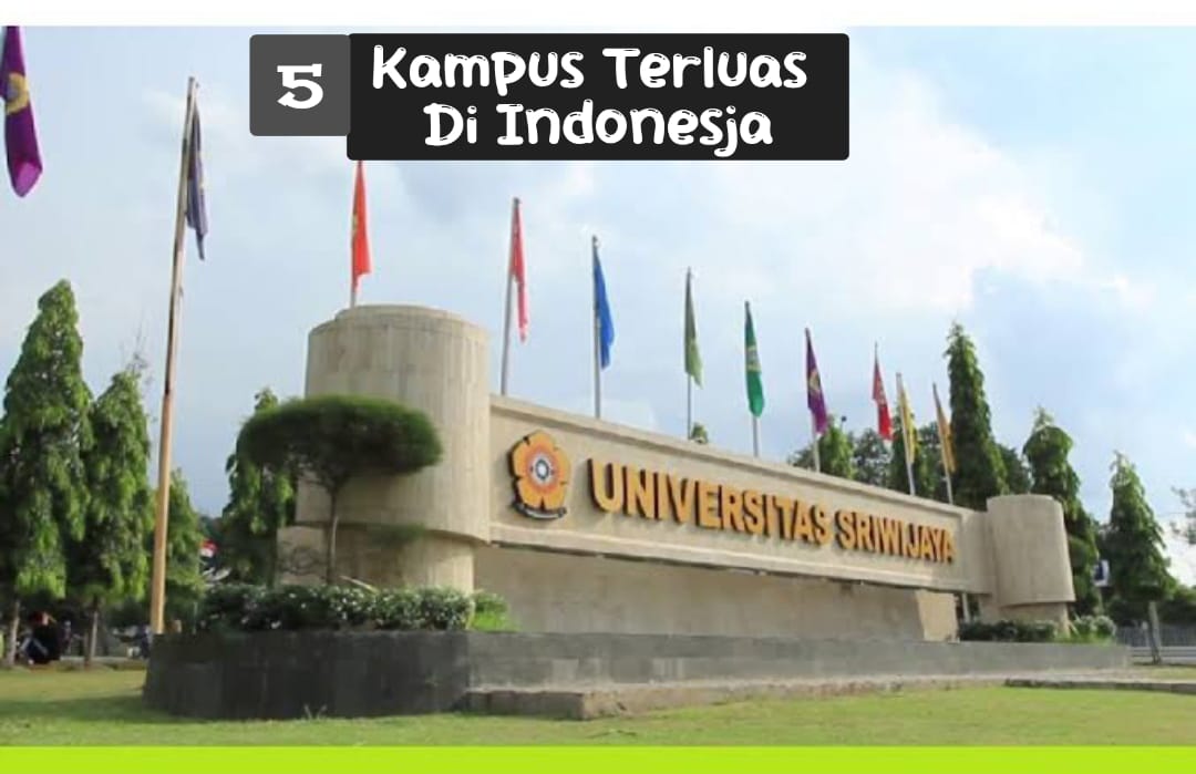 Makin Bangga! Ini 5 Kampus Terluas di Indonesia, Ada yang Capai 712 Hektar, Kampusmu Salah Satunya? 