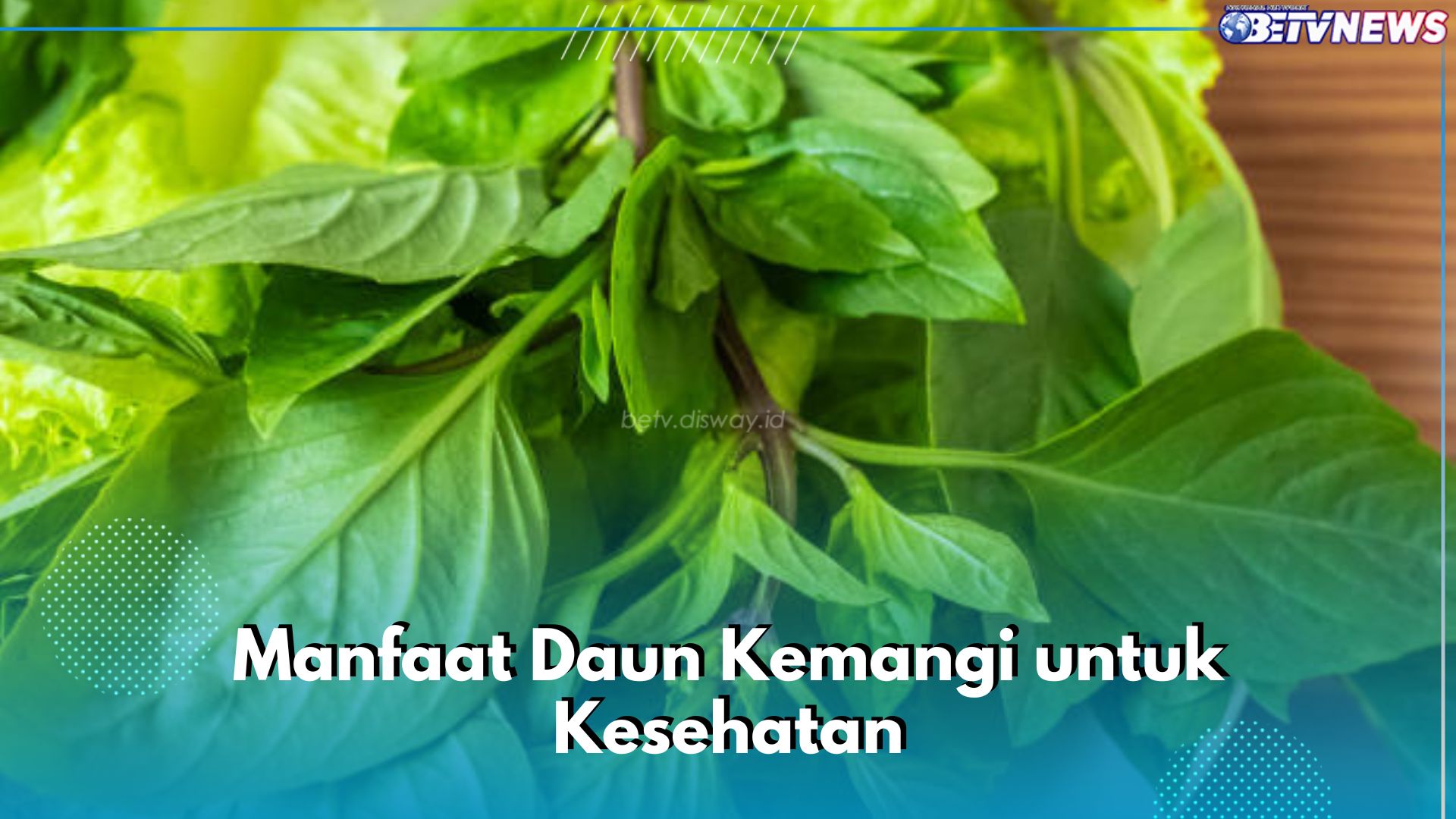 Baik untuk Pencernaan, Intip Sederet Manfaat Lain dari Daun Kemangi untuk Kesehatan di Sini!