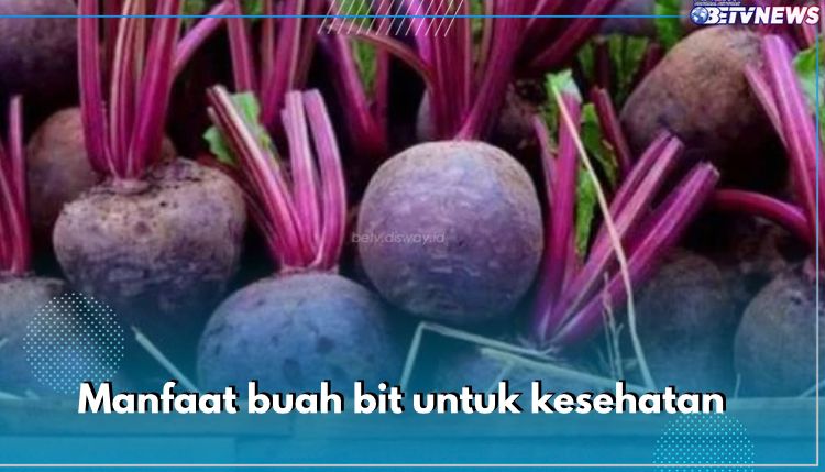 10 Manfaat Buah Bit untuk Kesehatan, Turunkan Tekanan Darah hingga Cegah Anemia