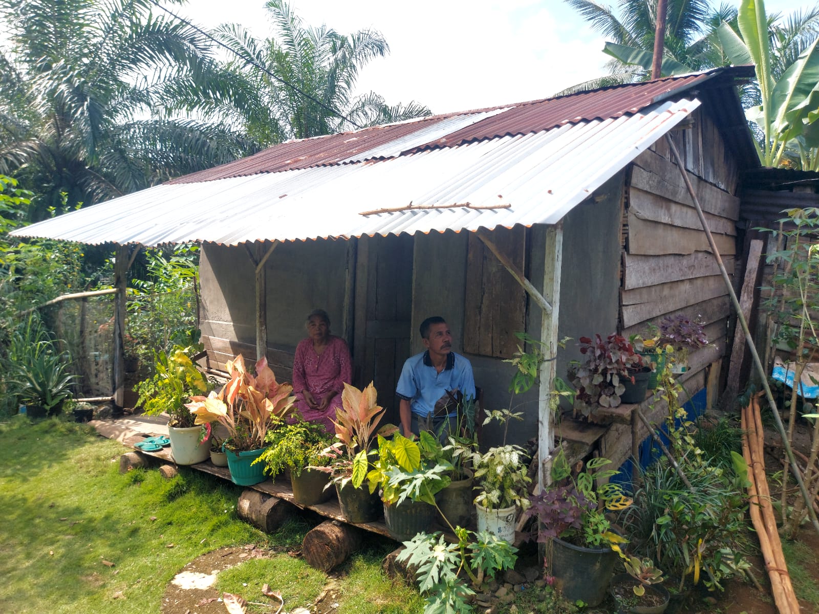 Hidup Sebatang Kara, Lansia di Bengkulu Tengah Huni Rumah Tak Layak Tanpa Jamban 