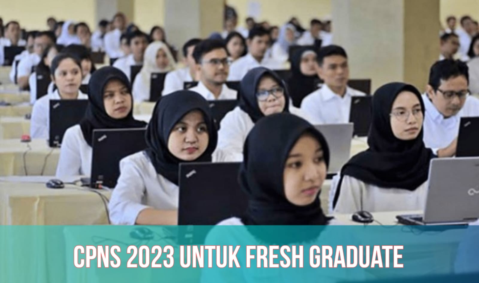 CPNS 2023 Buka Formasi untuk Fresh Graduate, Ini Detail Posisi dan Jurusan Prioritasnya